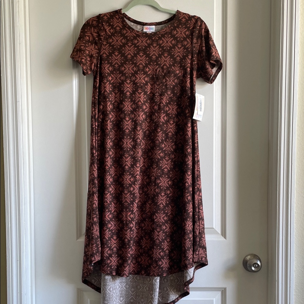 2for$20 LuLaRoe Brown and Pink Floral Carly Dress, nightgown